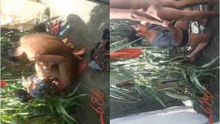 Desi Bhabhi Blowjob And Fucking | ViralKand